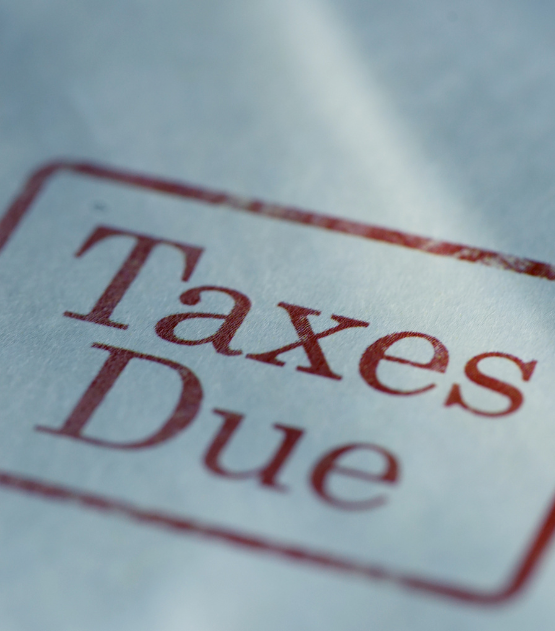 Tax Due Diligence Services